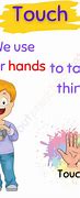 Image result for Sense of Touch