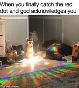 Image result for I See No God Up Here Cat Meme