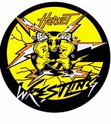 Image result for Girls Wrestling Logo