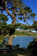 Image result for 12794 Sir Francis Drake Blvd., Inverness, CA 94937 United States