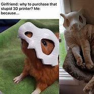 Image result for 3D Printed Cat Meme