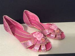 Image result for Princess Aurora Shoes