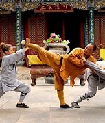 Image result for Traditional Styles of Kung Fu