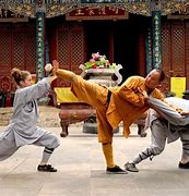 Image result for Kung Fu Techniqes