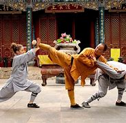 Image result for Two Styles of Kung Fu