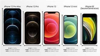 Image result for iPhone 12 Back Size in Cm