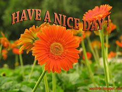 Image result for Have a Great Day Wallpaper
