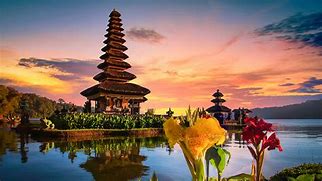 Image result for indonesio