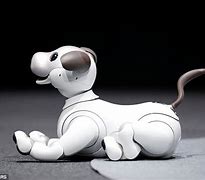 Image result for Aibo Tail