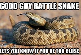 Image result for Happy Snake Meme