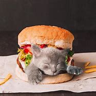 Image result for Cat in Food Meme Nugget