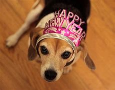 Image result for Happy New Year Funny Baby
