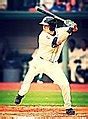 Image result for Baseball Player