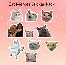 Image result for Cat Meme Banner