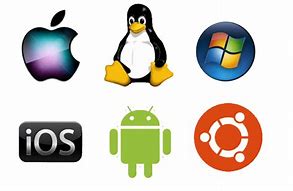 Image result for Operating System PNG