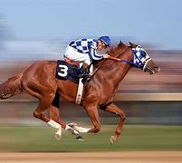 Image result for The Greatest Race Horse