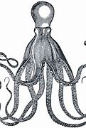 Image result for Octopus Silhouette Simple Clip Art