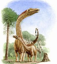 Image result for Longest Dinosaur