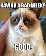Image result for Memes About Having a Bad Week
