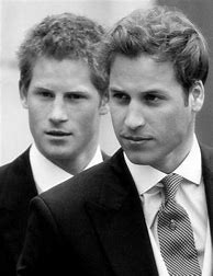 Image result for Prince William and Harry in Uniform