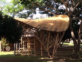 Image result for Bamboo Space Frame