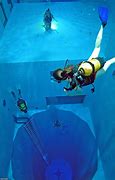 Image result for Deep Swimming Retreival