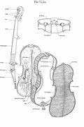 Image result for Violin Structure