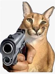Image result for Cat with Gun Big Iron Meme