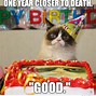 Image result for angriest cats meme
