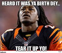 Image result for Cincinnati Bengals Memes