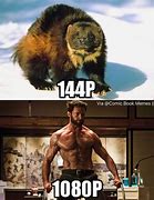Image result for Wolverine Movie Memes