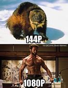 Image result for Funny Wolverine Memes