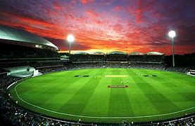 Image result for Cricket Field Texture Gaming