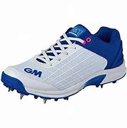 Image result for Cricket Shoes with Spikes