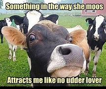 Image result for Funny Farm Animals Cow