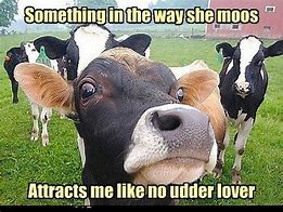 Image result for Cow Age App Meme
