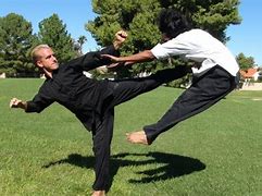 Image result for Kung Fu Competition vs Other Styles