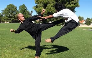 Image result for +Kung Fu Styles to Protect Our Selves