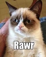 Image result for Rawr Cat Meme