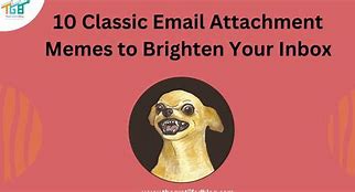 Image result for Annoying Email Meme