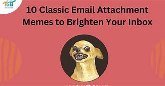 Image result for Reply All Email Meme