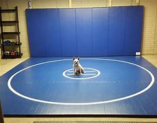 Image result for High School Wrestling Mat Circle S Dimensions