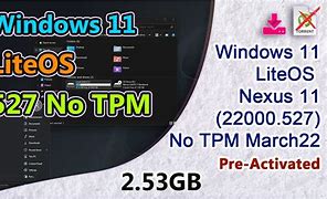 Image result for Windows 11 Nexus