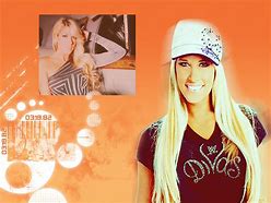Image result for Kelly Kelly Wallpaper