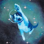 Image result for A Cat in Space Art