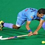 Image result for India National Sport