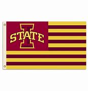 Image result for Iowa State University Colors