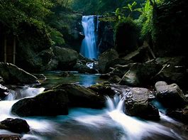 Image result for Wallpaper for Kindle Fire PF Nature