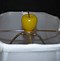 Image result for Apple That Looks Like a Lamp Shade