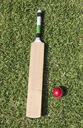 Image result for Items for Cricket